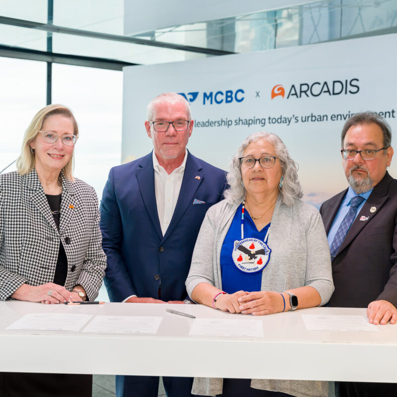 Arcadis